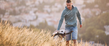 Remote working & wellbeing - Hays.be Remote working & wellbeing - Hays.be